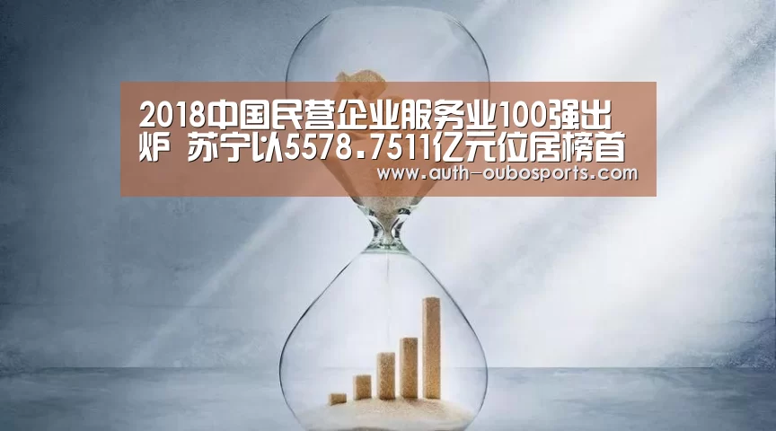 2018中国民营企业服务业100强出炉 苏宁以5578.7511亿元位居榜首-欧博(图2) 欧博ABG官网