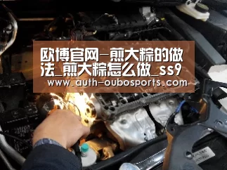 欧博官网-煎大粽的做法_煎大粽怎么做_ss908的菜谱